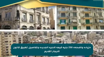 «زيادة واضحة» 250 جنيه قيمة الأجرة الجديدة وتفاصيل تطبيق قانون الإيجار القديم